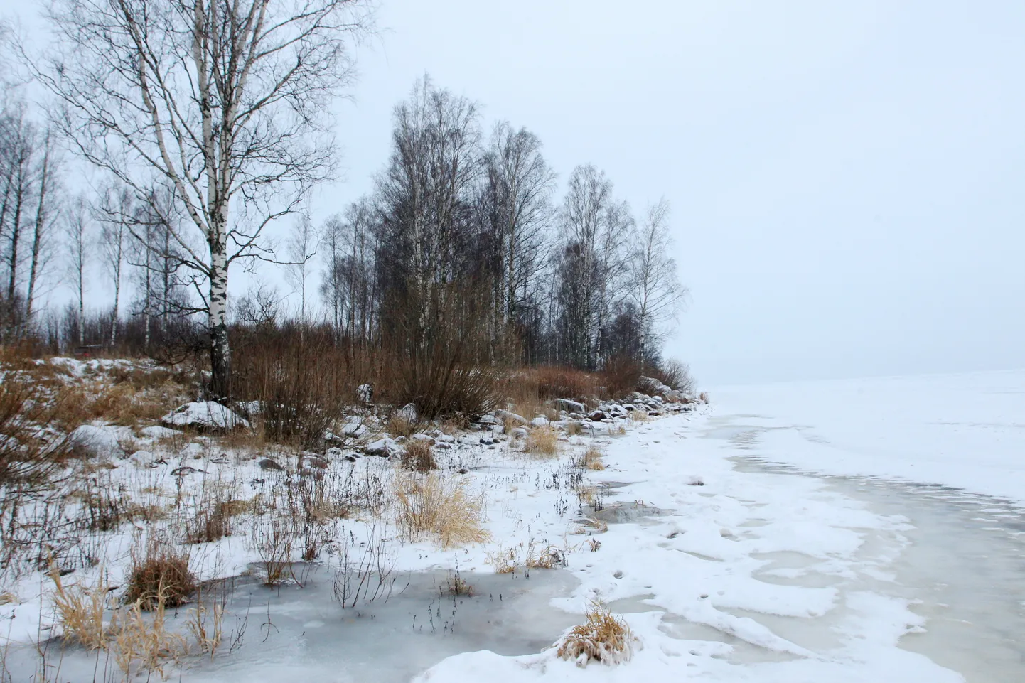 Peipsi järv Kodaveres.
