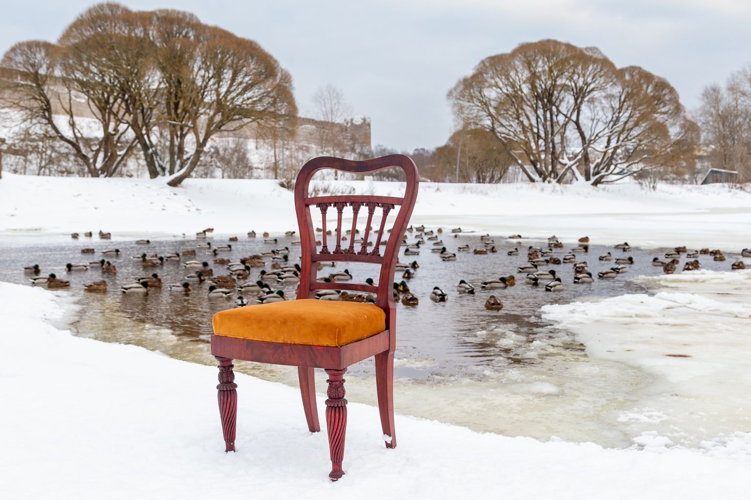 В четверг в Белом зале Кохтла-Ярвеского Музея сланца открывается выставка "12 стульев. Спасенные".