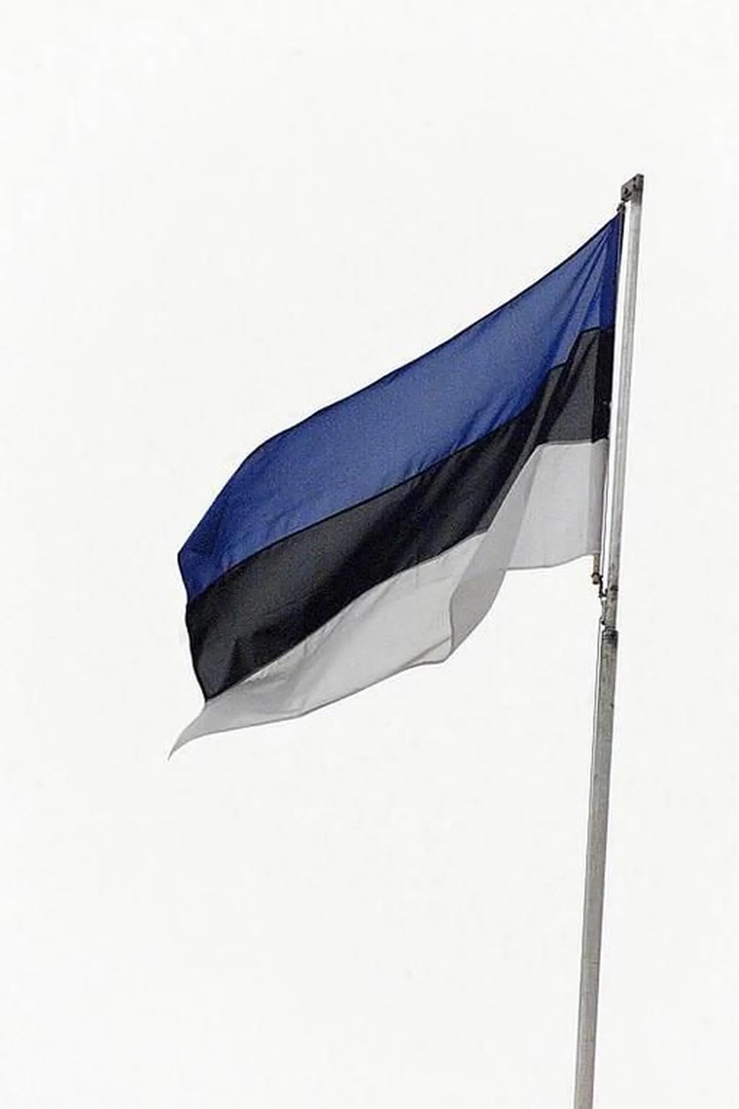 Eesti lipp..