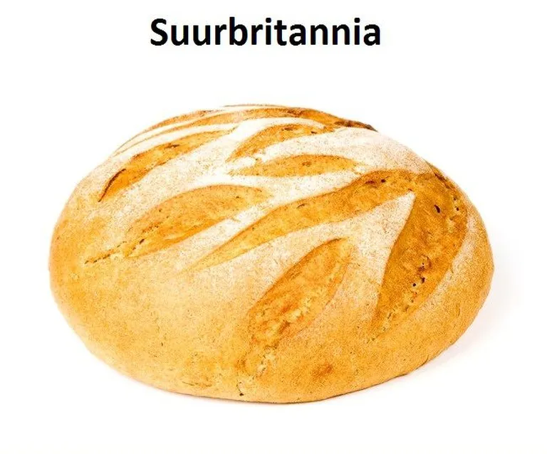 Saiapäts