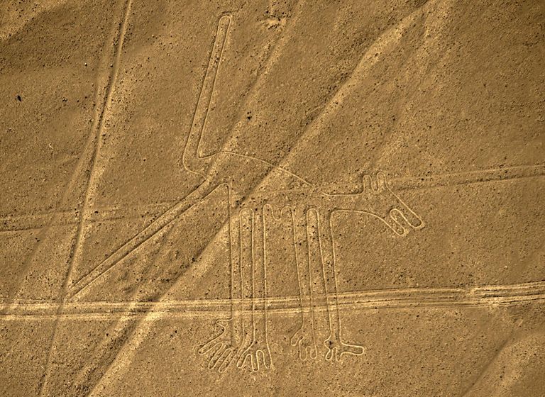 Nazca geoglüüfid, pildil koer