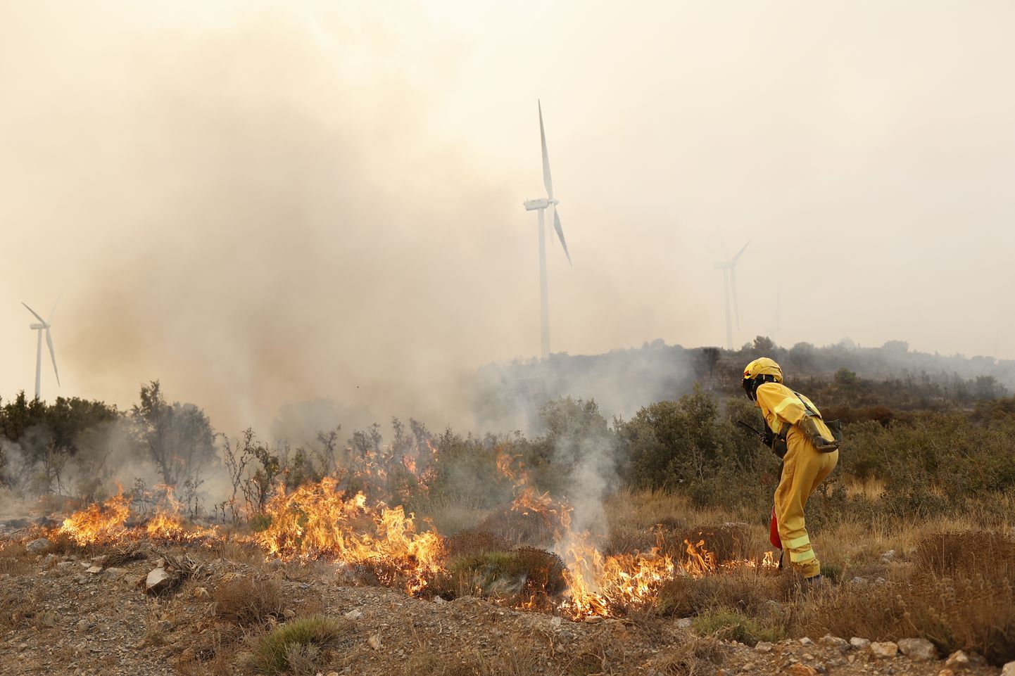 Tuletõrjuja võitleb täna leekidega Hispaanias Bejísi lähistel.