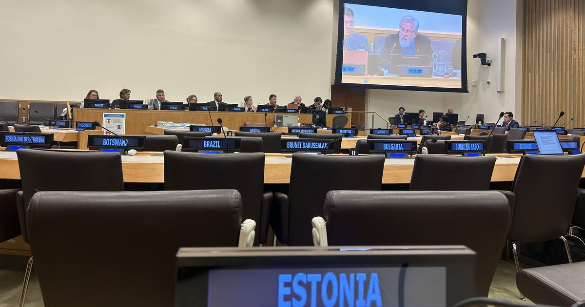 Tehnologia dezvoltată în Estonia, care recunoaște chiar și navele discrete, a fost prezentată la Națiunile Unite