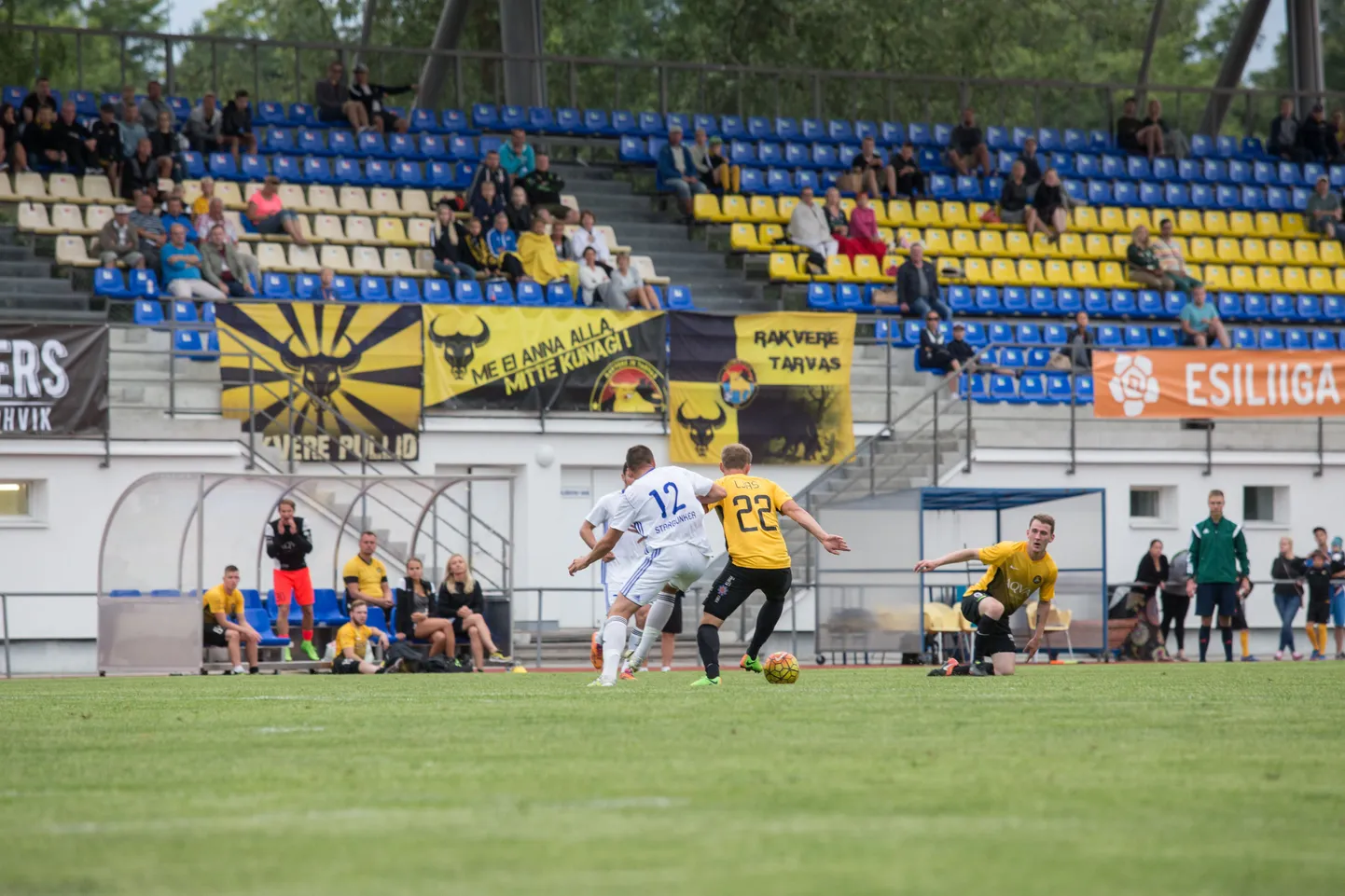 Rakvere JK Tarvas kollases.