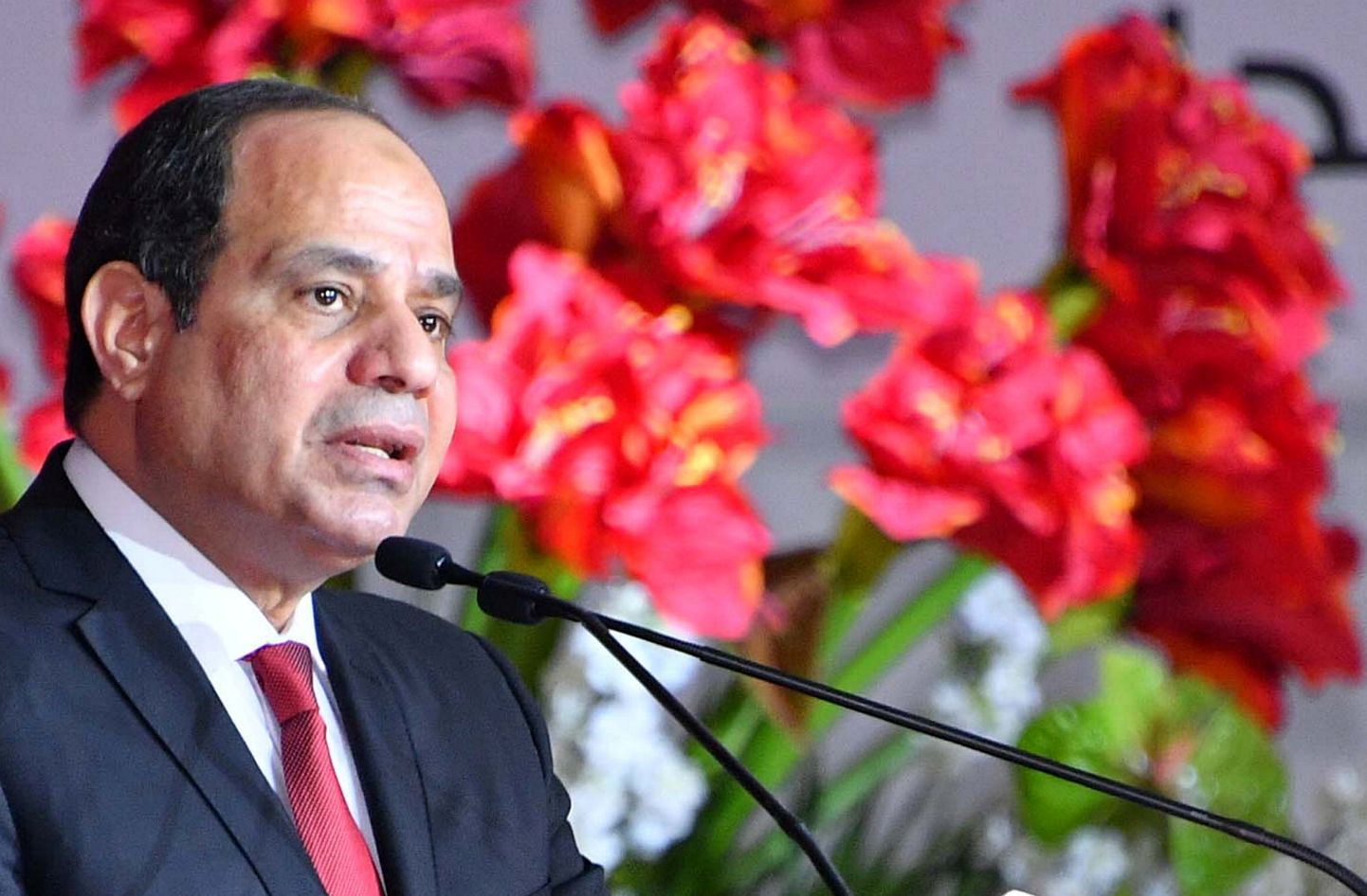 President Abdel Fattah al-Sisi kinnitas kandideerimist uueks ametiajaks.