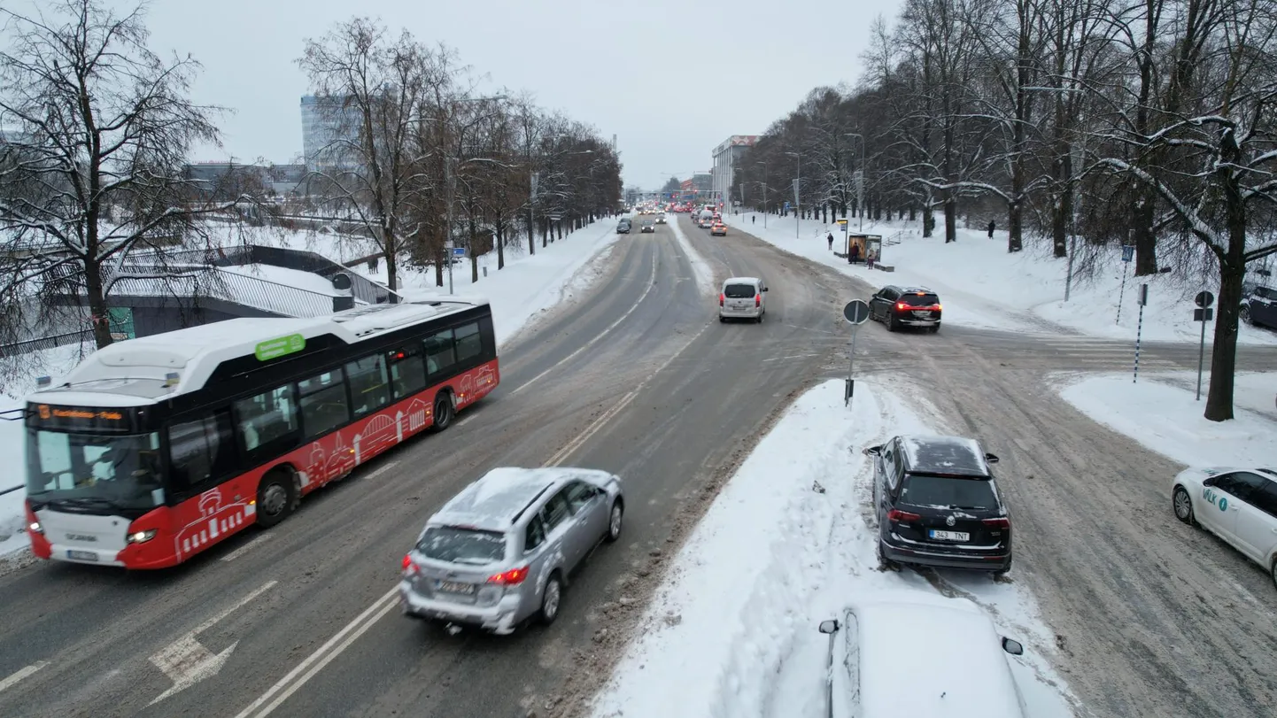 Juba eeloleval suvel algava ümberehituse käigus saab Vabaduse puiestee neljarajalise asemel kaherajalise sõidutee, mille ääred on üsna pea ratturite päralt. Kitsamaks muutunud sõidutee arvelt laieneb ka kõnnitee ning muutub parkimiskorraldus.