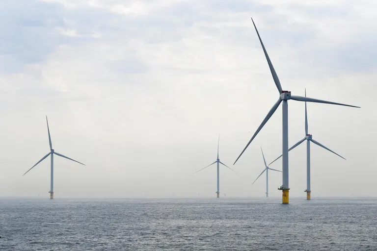Vaade tuulikutele Hollandi rannast Scheveningenist, 25. august, 2022. REUTERS/Piroschka van de Wouw