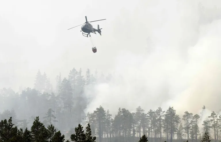 Rootsi võitleb kümnete metsatulekahjudega.