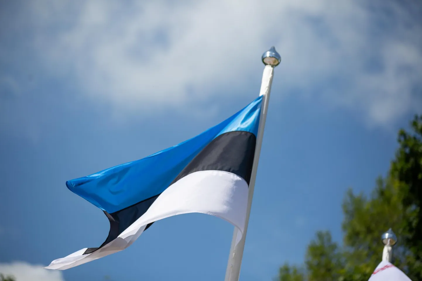 Eesti lipp. 