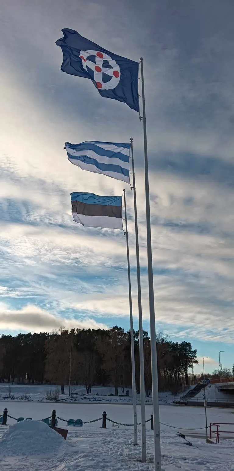 Lipud Pirital. Eesti lipp, Tallinna lipp ja Pirita lipp.