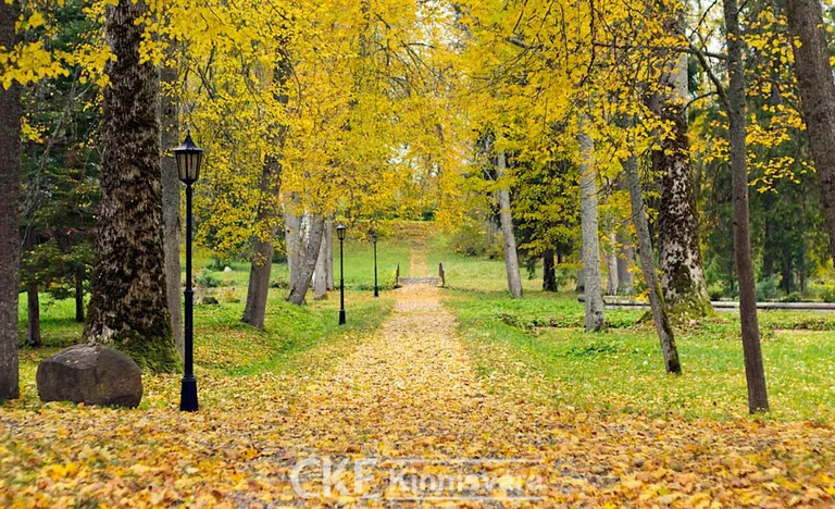 Фото статьи