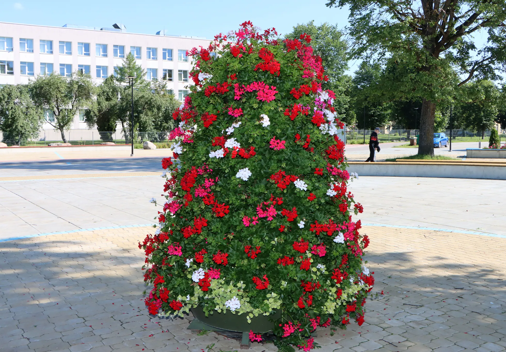 На городской площади больше многолетников, но яркая горка радует глаз.