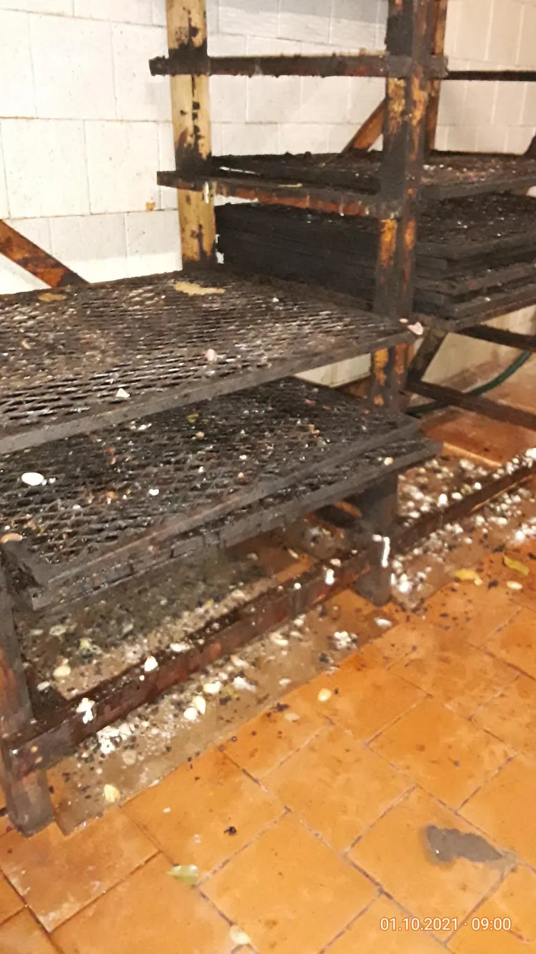 Raksta foto
