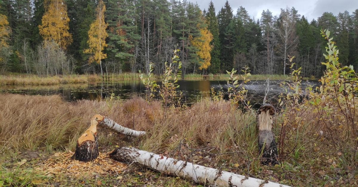 Esmaspäeval tuleb kuni 16 kraadi sooja