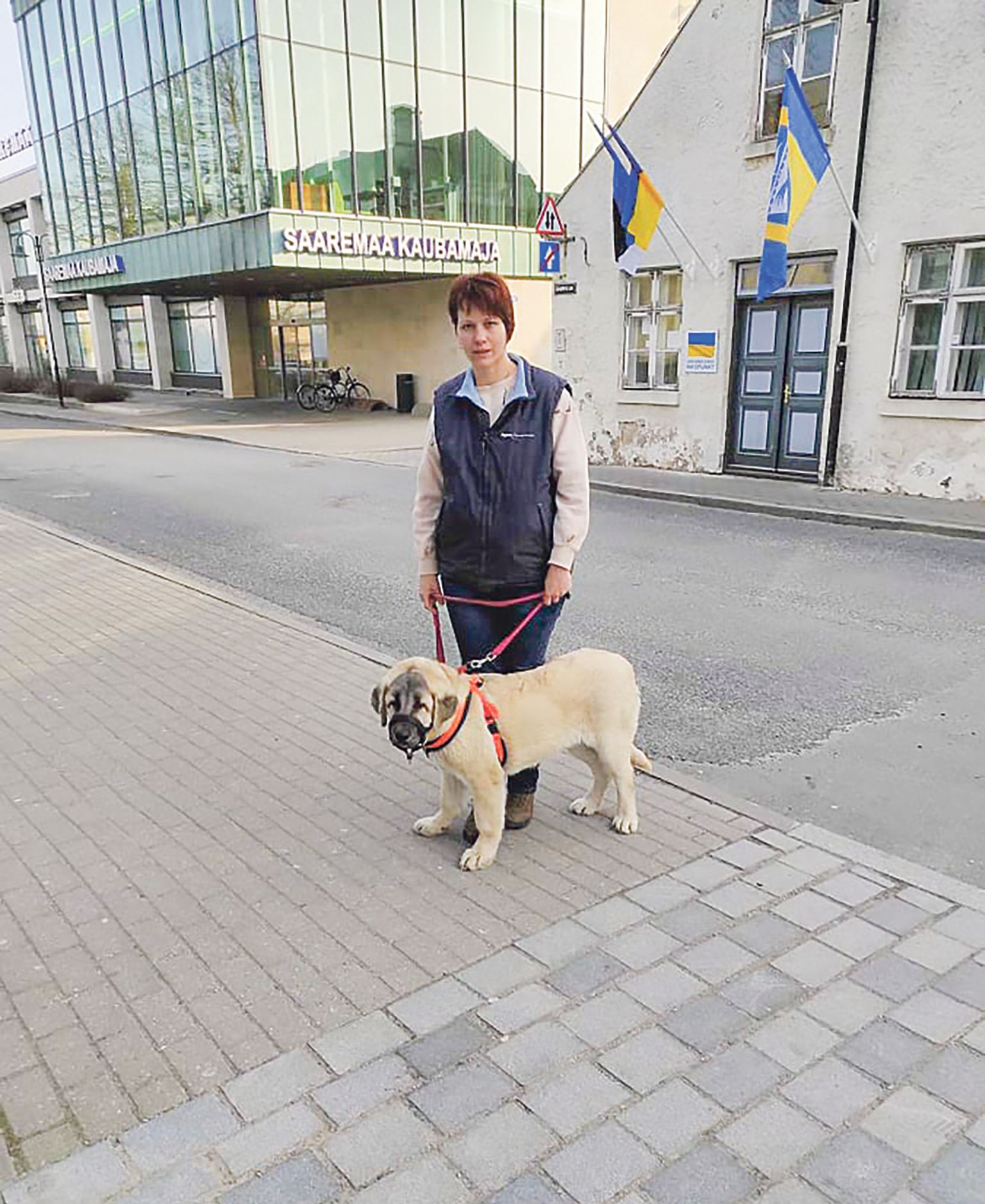 UKRAINAST paari nädala eest Saaremaale saabunud Natalia Rybanova tõi endaga kaasa kümmekond koera, kellest mõned on tänaseks ka uue kodu leidnud.