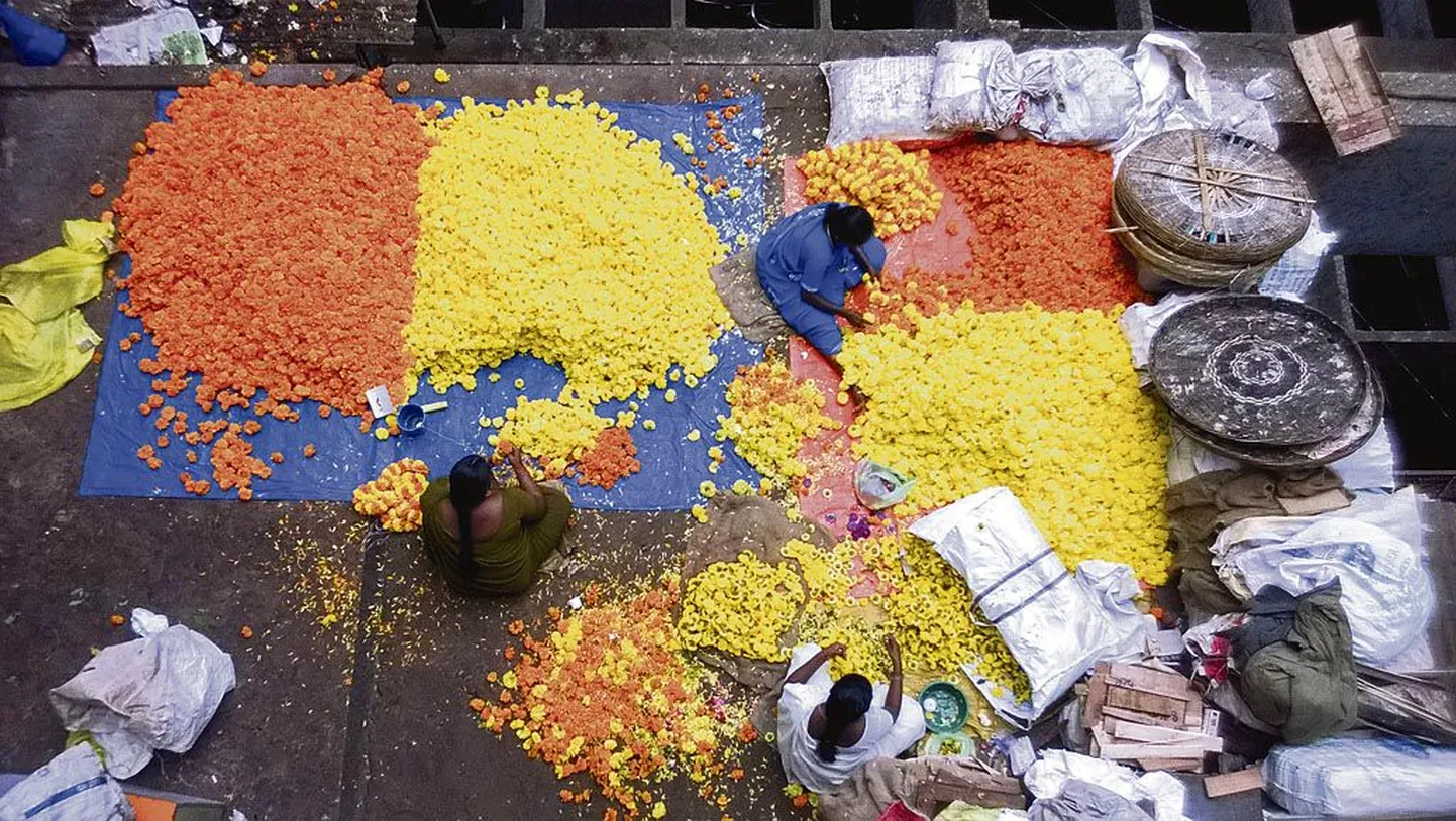Lilleturg Indias. Kunstnikke tõmbas kaugele maale uudishimu ja soov kogeda midagi sellist, mida Euroopas ei ole.