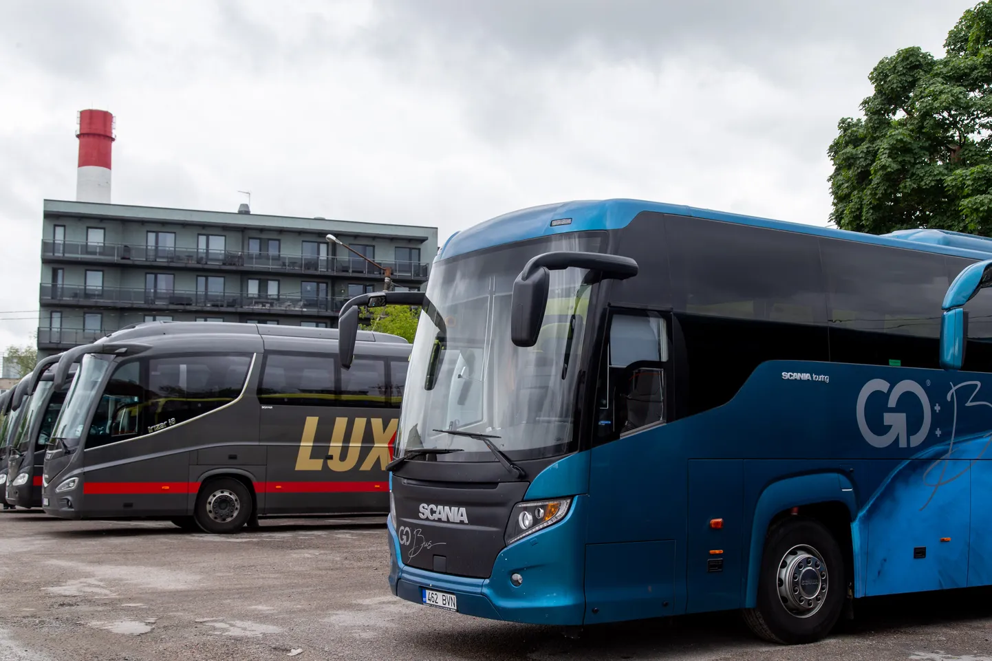 Veel viimaseid päevi seisavad Tartusse sõitvad Lux Express ja Go Bus bussid Tallinna bussijaamas kõrvuti. Varsti lõpetavad sinised bussid sõitmise.

Goó bus and Lux Express buses at the bus station.
Foto: Joakim Klementi / Eesti Meedia