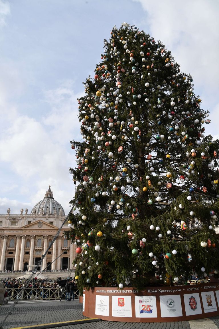 Roomlaste arvates näeb nende hõre jõulupuu välja nagu WC-hari. Pildil võrdluseks Vatikani puu