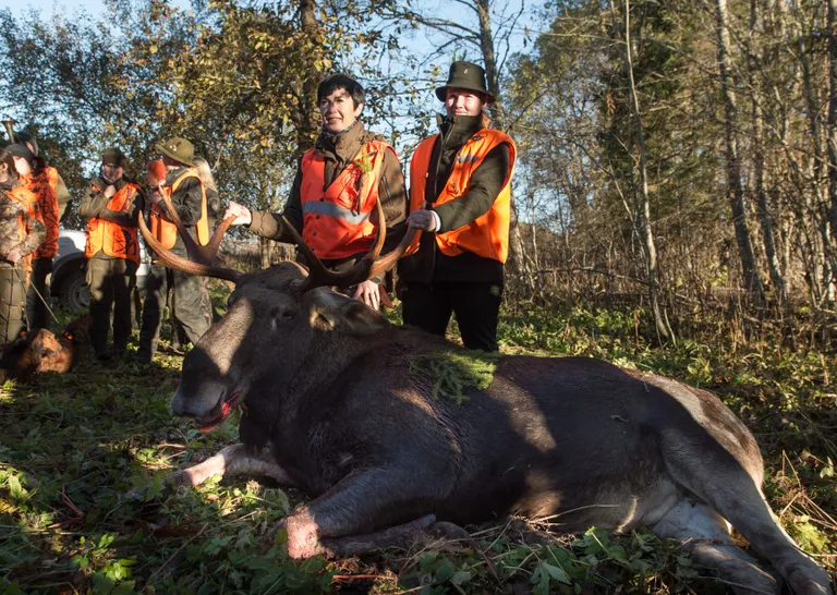 Kütid, kellele kuulus põdrapulli laskmise au. Foto: Mihkel Maripuu