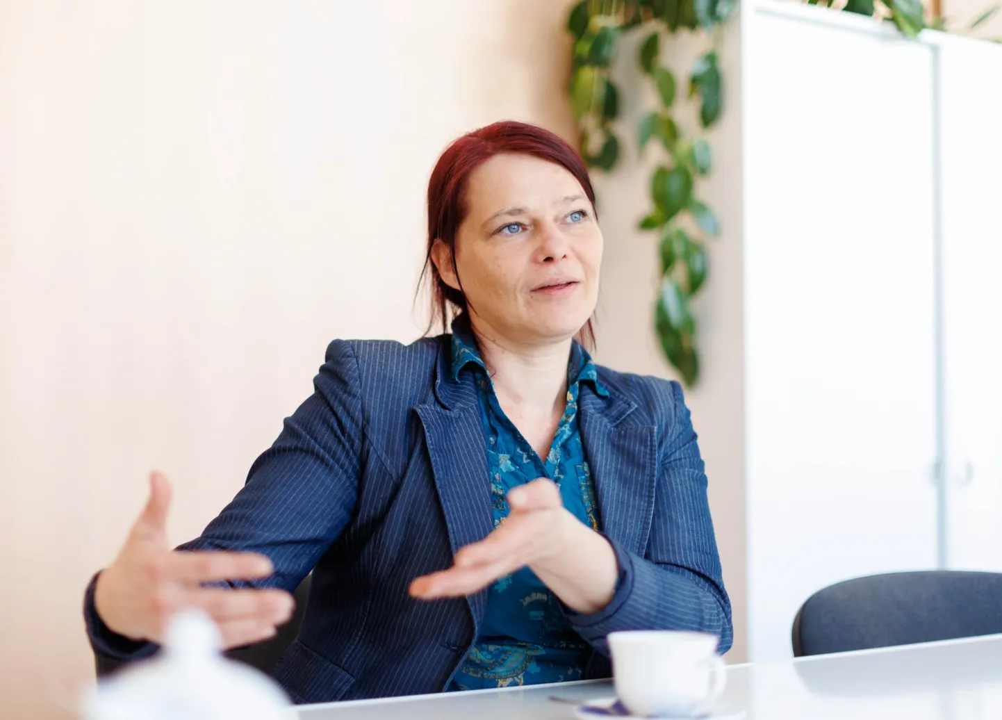Meie Nursipalu MTÜ üks juhte Maarika Niidumaa