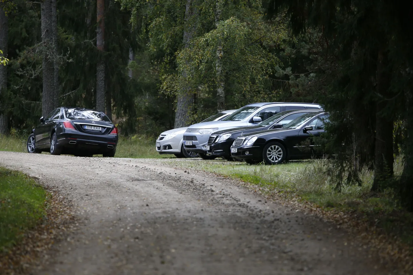 Autod Hundisilmal.