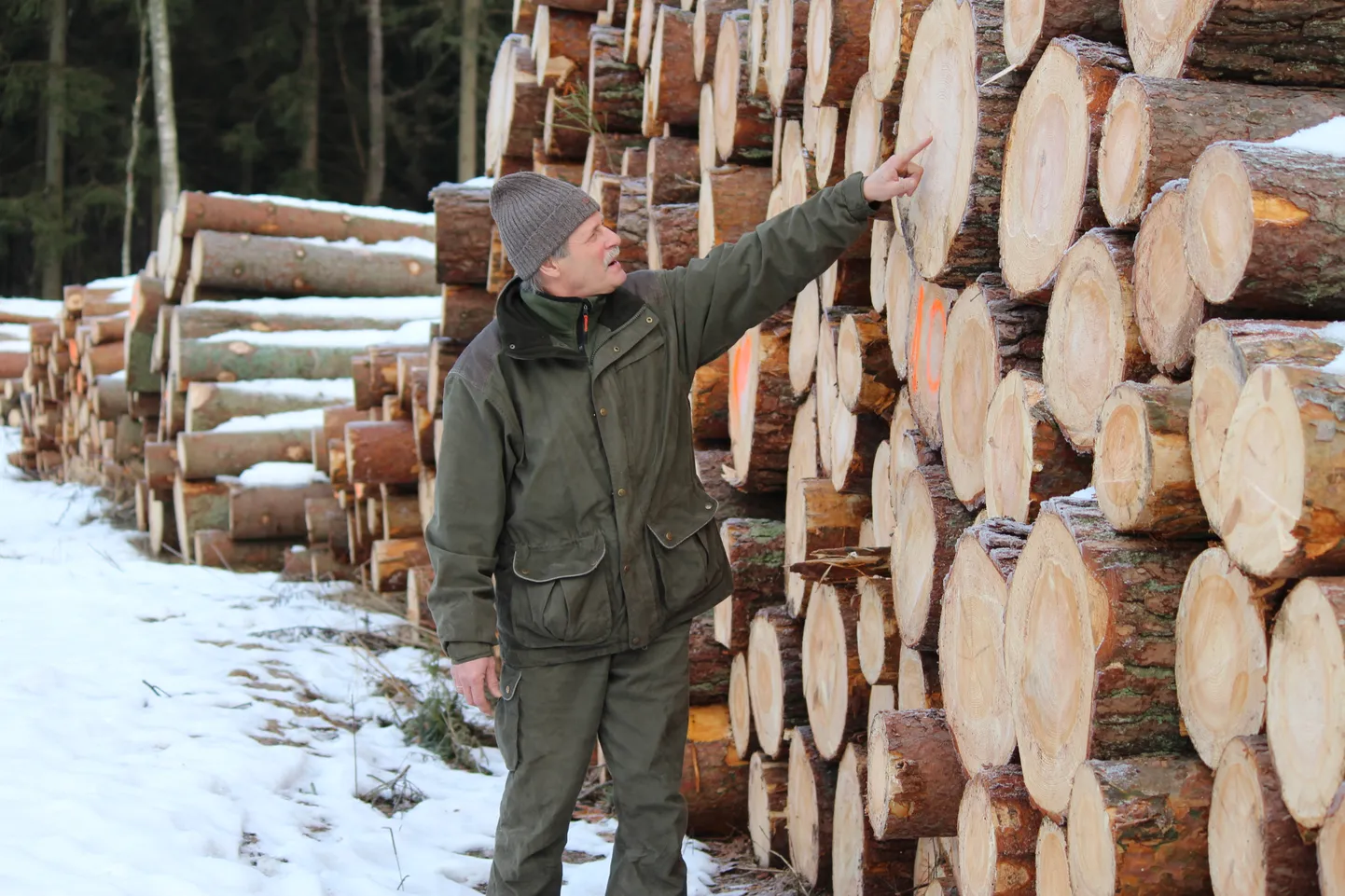RMK Võrumaa metskonna metsaülema Agu Palo sõnul oli mullu maakonnas päris mitu metsavargust. Pildil olevad palgid on langetatud igati seaduslikult.