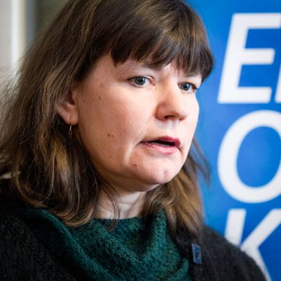 ICOMOS-i Eesti komitee esimees Riin Alatalu.