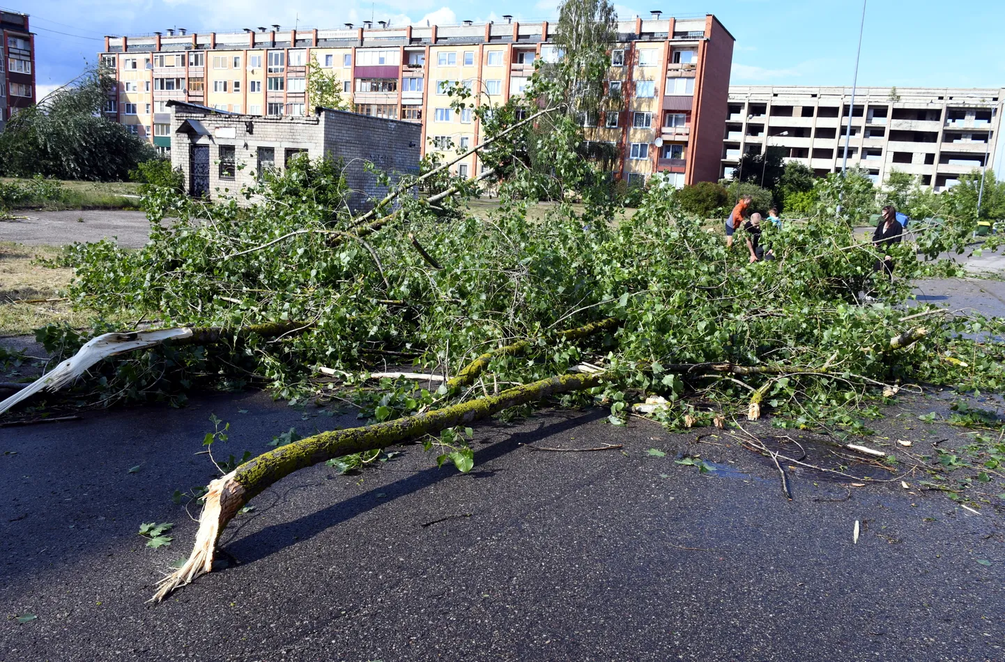 Vētras postījumi Daugavpilī.