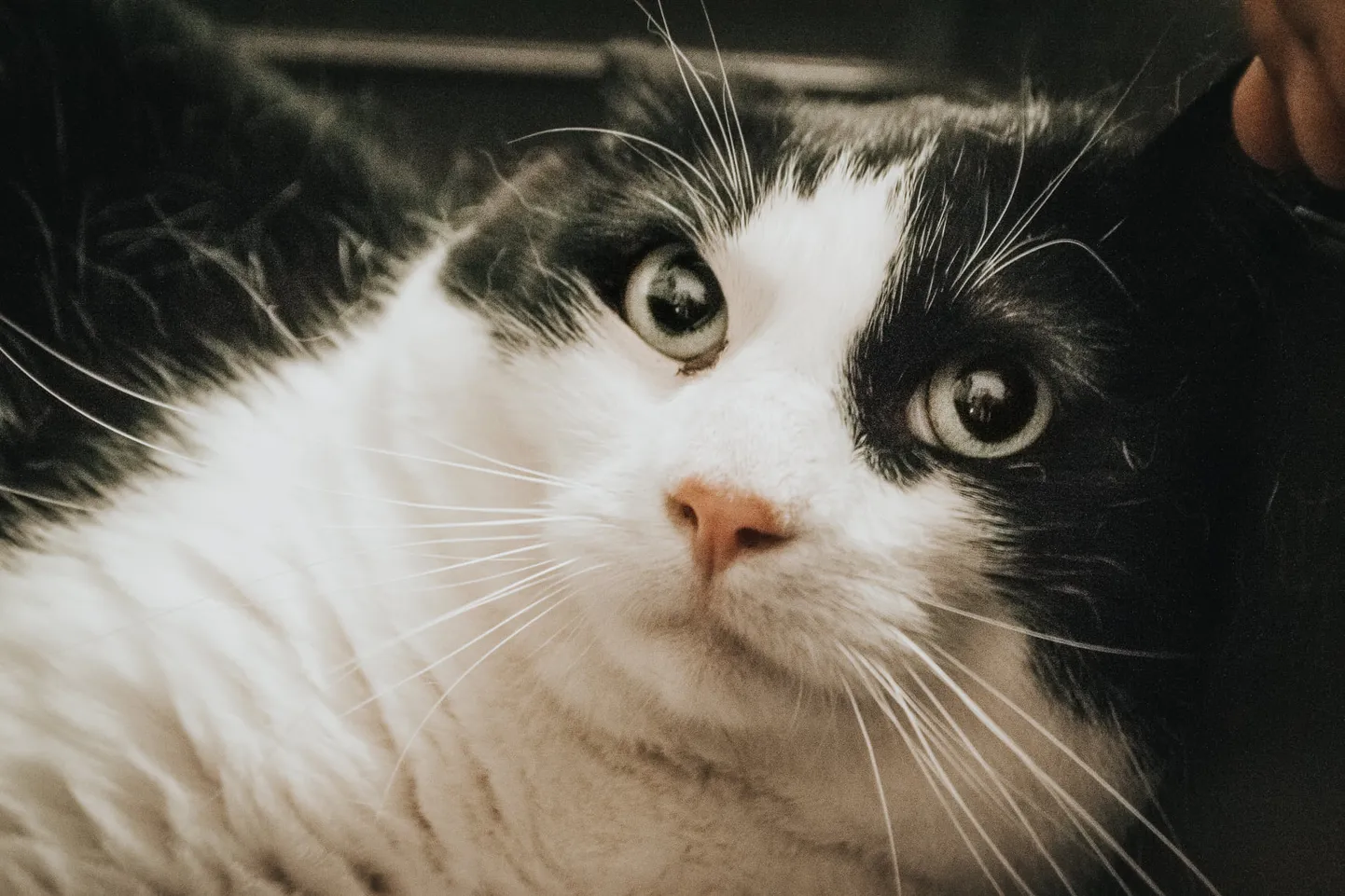 Isaac.