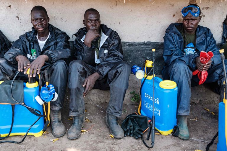 ÜRO Toidu ja Põllumajanduse Organisatsioon (FAO) on hakanud õpetama välja kohalikke elanikke ning varustanud neid mürgiga, et saaki tirtsude vastu kaitsta. Fotol Uganda kaitsejõudude liikmed, kes mürgitamisest puhkepausi teinud.