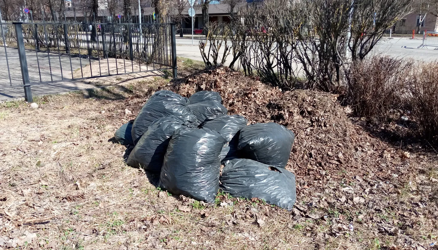 Мусор, собранный в мешки для вывоза из города.