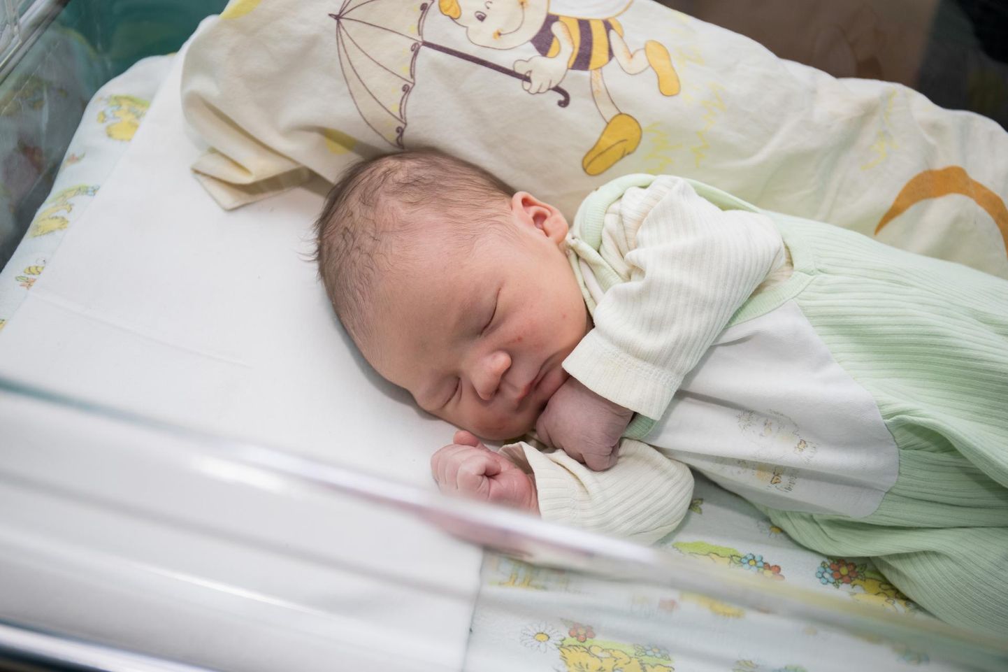 2019. aastal Rakvere haiglas esimesena ilmavalgust näinud poiss.  