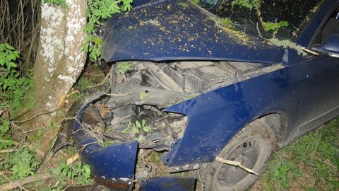 Фото ⟩ Машина врезалась в дерево: пьяные молодые люди заявили, что водитель скрылся в лесу