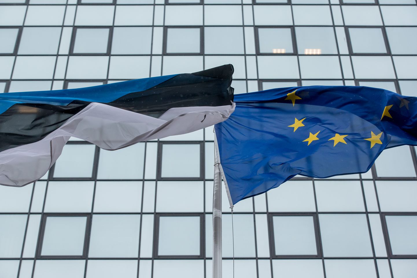 Eesti ja Euroopa Liidu lipud.
