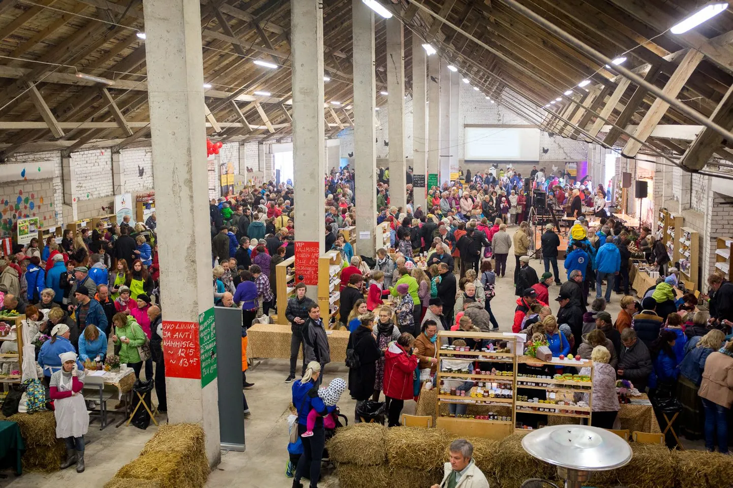 Olustvere hoidistemess 2016