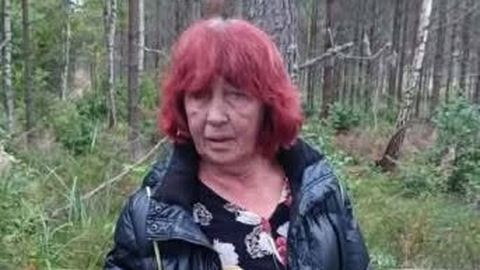 AITA LEIDA! ⟩ Kohila vallas jäi metsa seenele läinud 74-aastane naine kadunuks