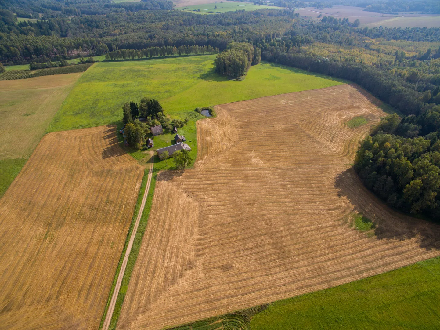Põllud