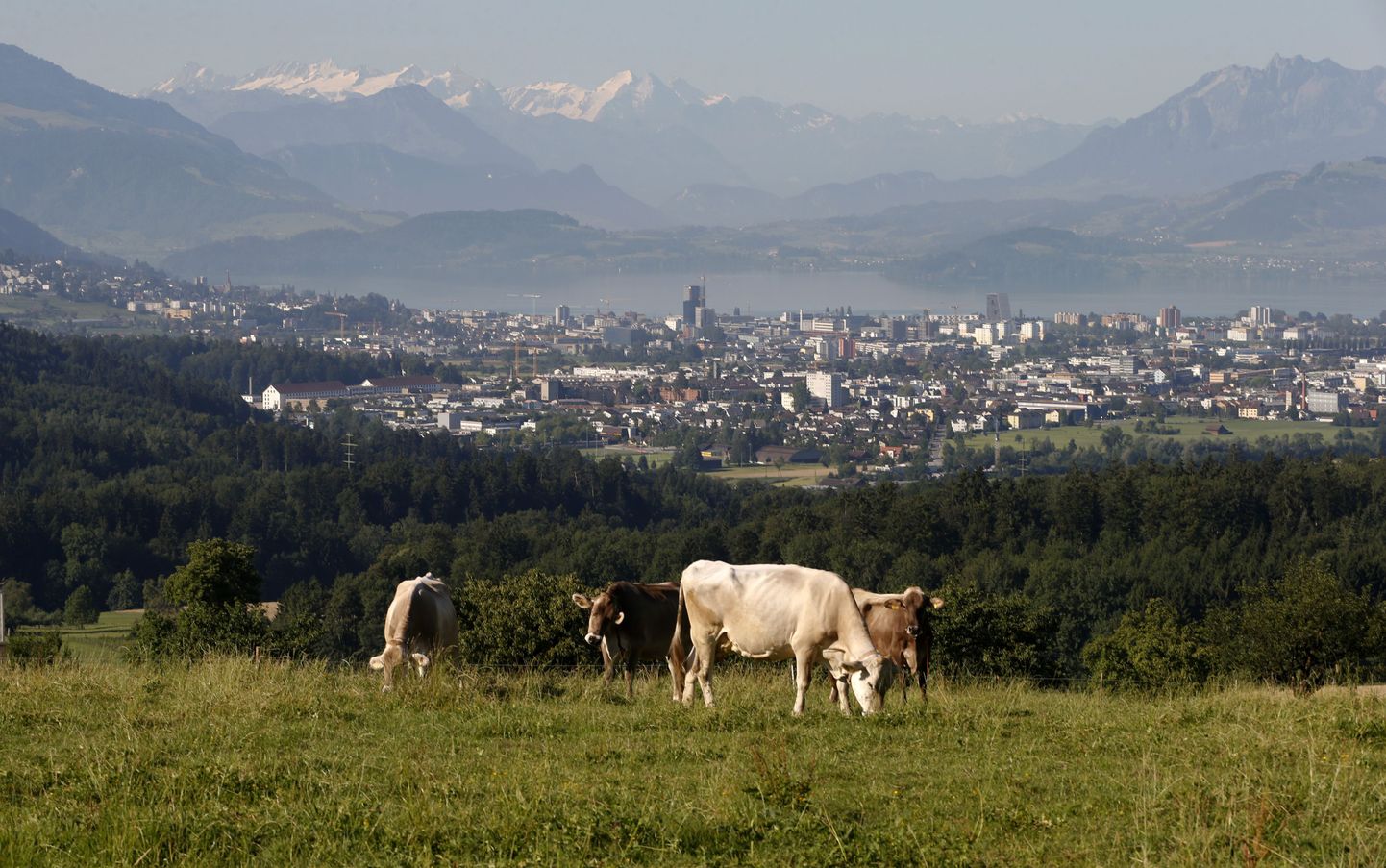 Vaade Zugi linnale Šveitsis.