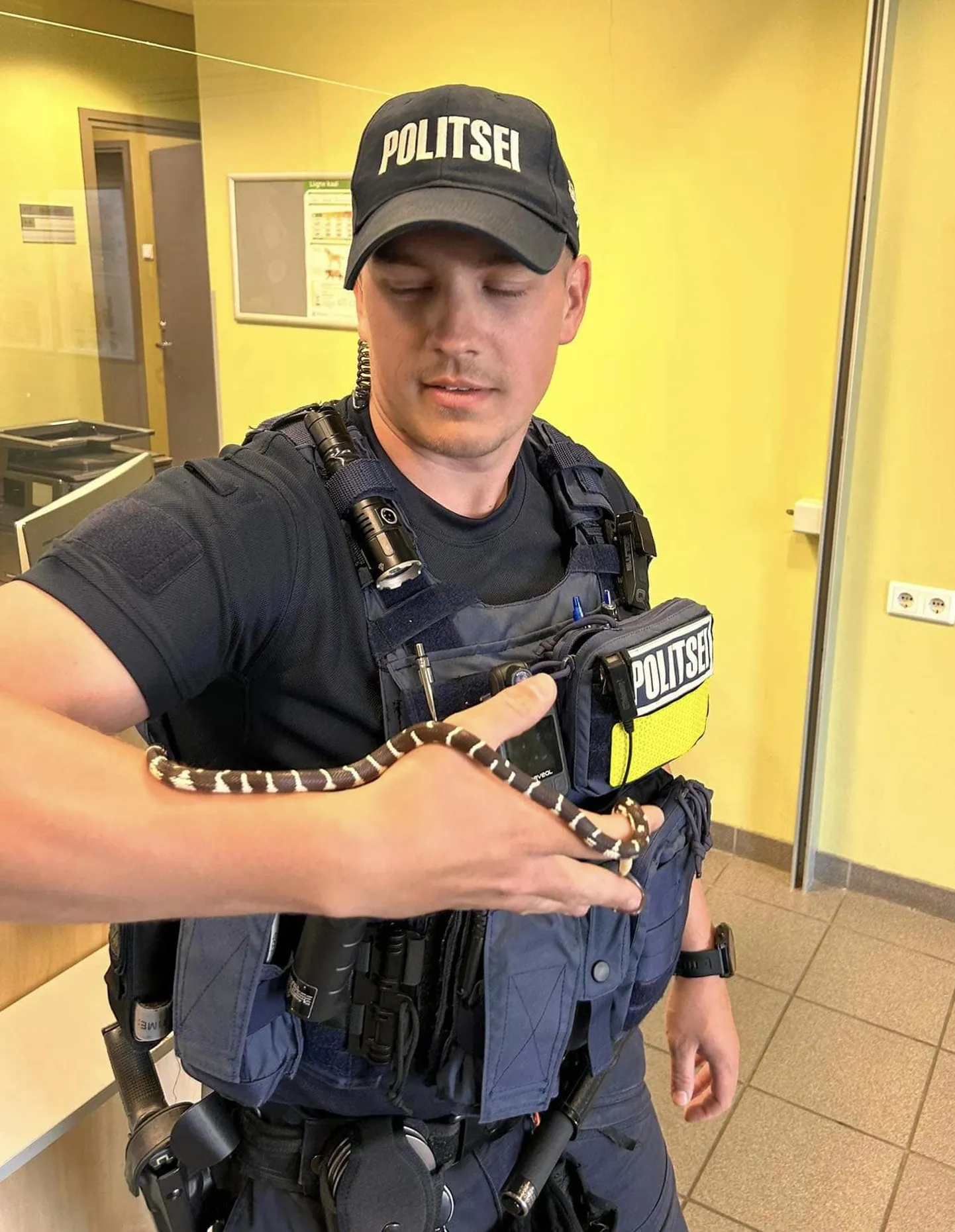 Полицейский со змеей.