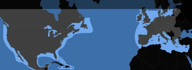 Väljavõte levialakaardist: Euroopas saab juba Starlink Maritime´iga seilata, kuid mitte Läänemere põhjapoolsemas osas.