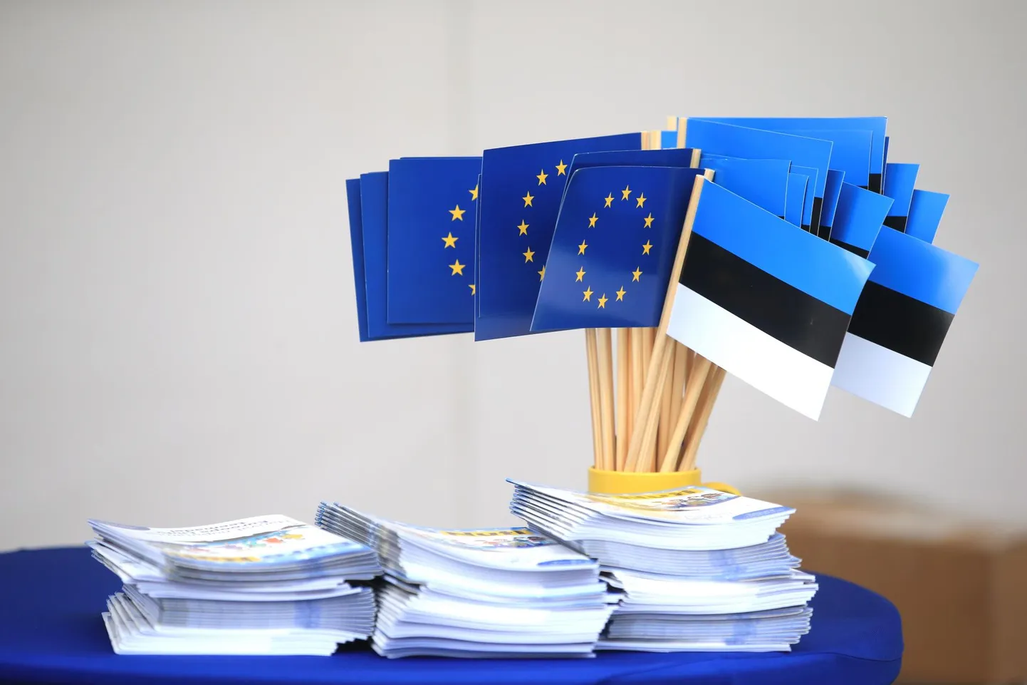 Euroopa Liidus väärtustatakse noorte kaasamist ja nende vajadustega arvestamist.