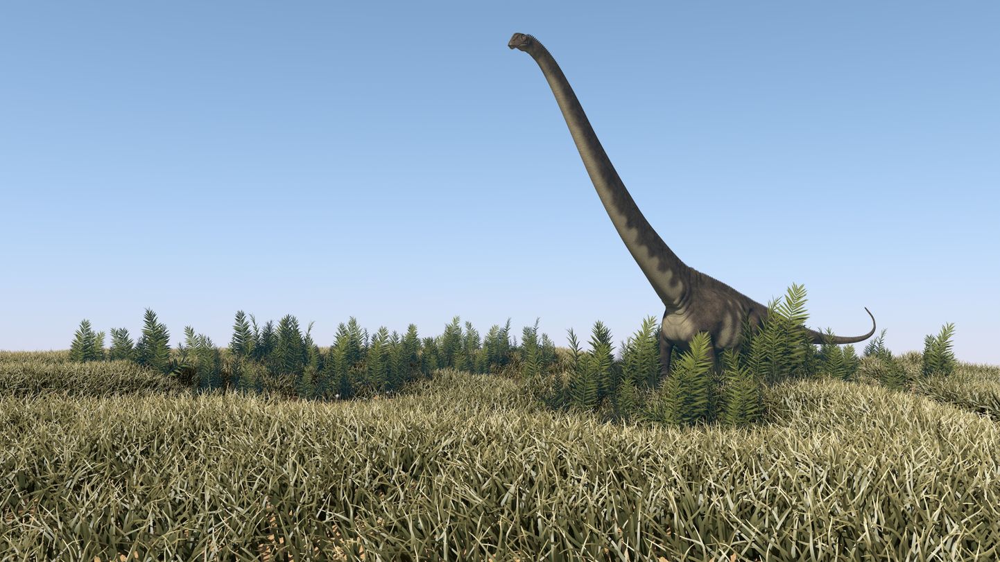 Arvutijoonistus Mamenchisaurus sinocanadorum'ist