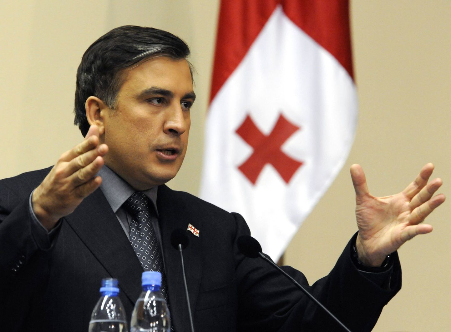Gruusia opositsioonierakonnad plaanivad 9. aprilliks suurmeeleavaldust, kus kavatsetakse nõuda president Mihheil Saakašvili tagasiastumist.