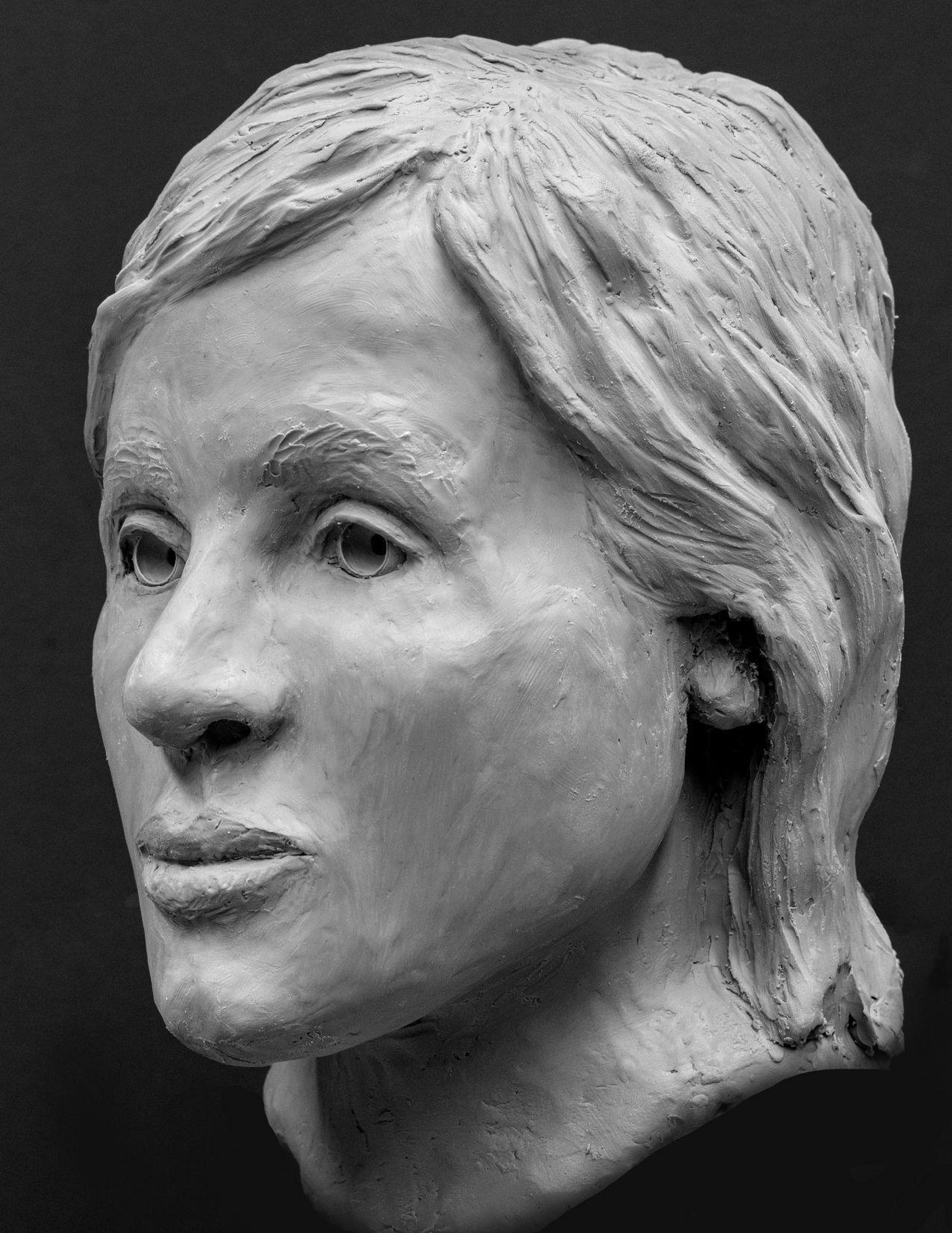 Tundmatu naise 3D pea kujutis.
