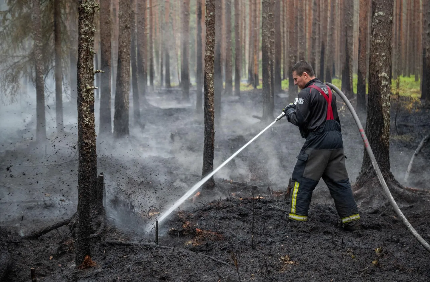 Päästeameti sõnul tuleb looduses olla äärmiselt ettevaatlik, et mitte tulekahju tekitada.