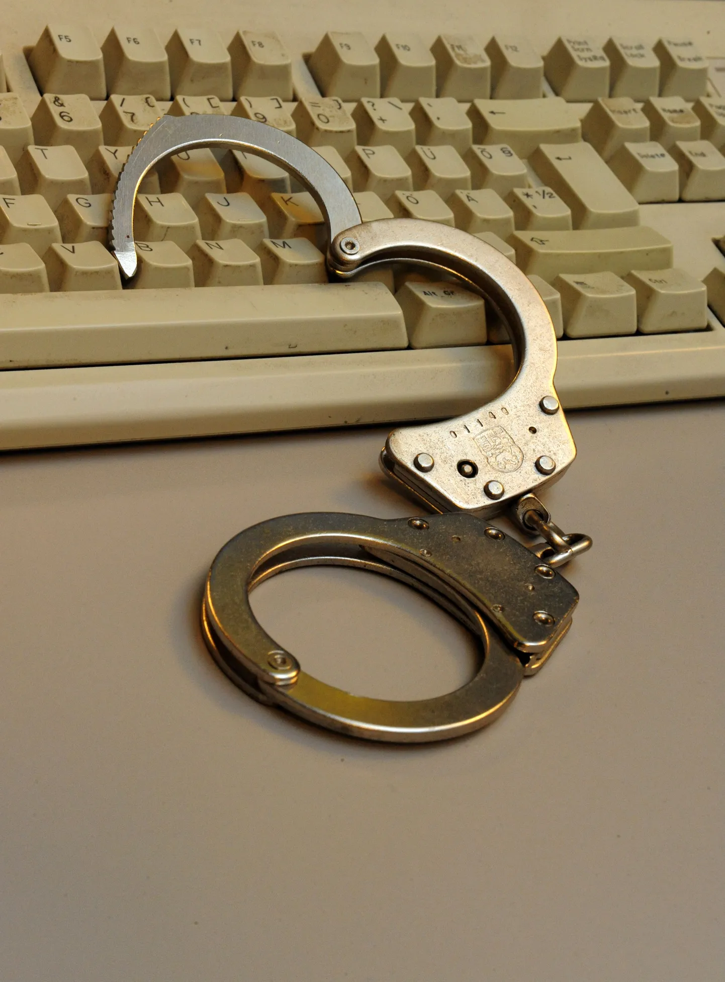 Prantslased loobusid netipiraatide karistamise plaanist.