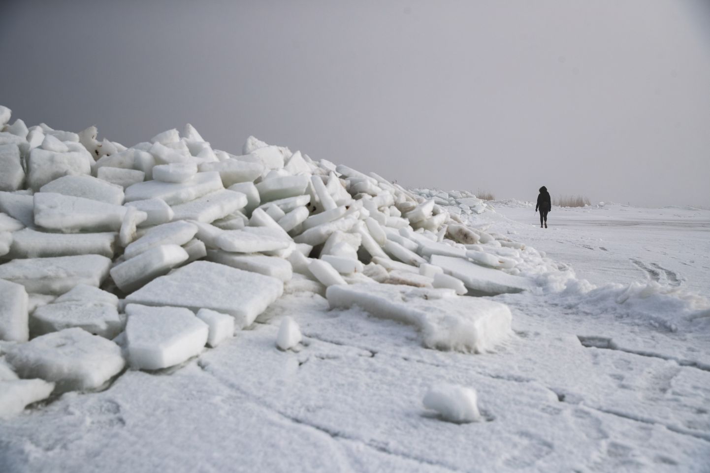 Вот такие куски льда лежат на пляже в Пярну