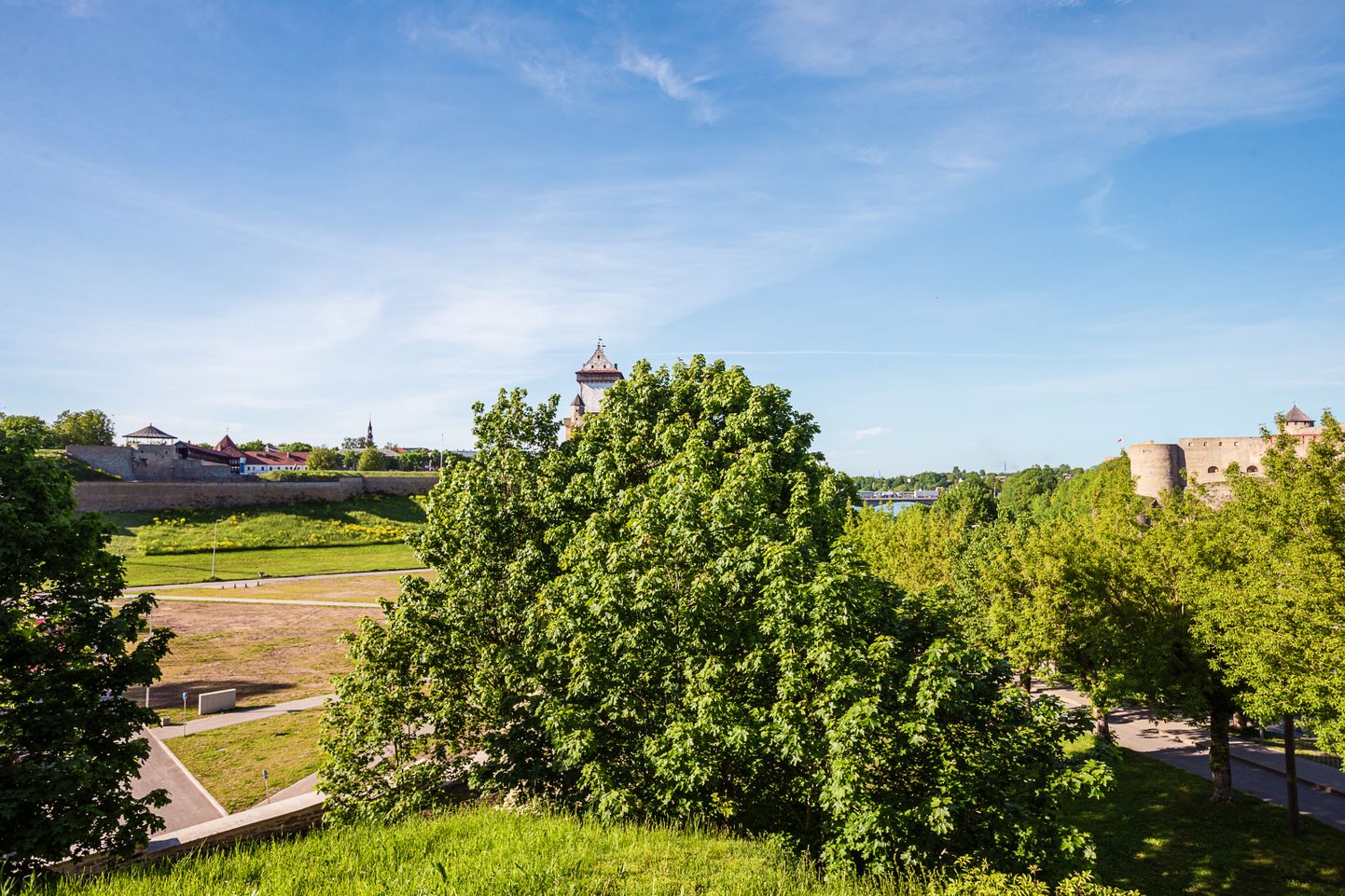 See vaade avaneb turistide seas kõige populaarsemalt Narva vaateplatvormilt. Ent siin ei domineeri mitte piirijõgi ning kahel pool asuvad kindlused, vaid linnas asuv mets. Ja selliseid võsastunud paiku on Narvas teisigi.