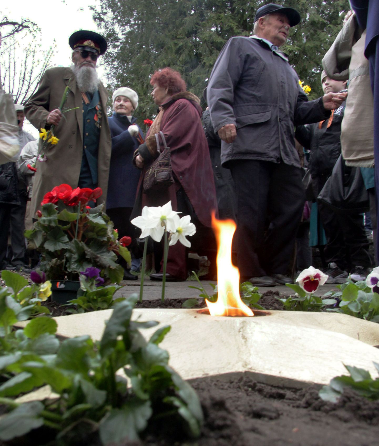 Pärnus tähistas Suure Isamaasõja lõppemise 65. aastapäeva sadakond inimest, kes kahele Alevi kamistule nelke, nartsisse ja tulpe viisid. Alevi kalmistu mälestusmärgi juures süüdati tähtpäeva puhul "igavene tuli".