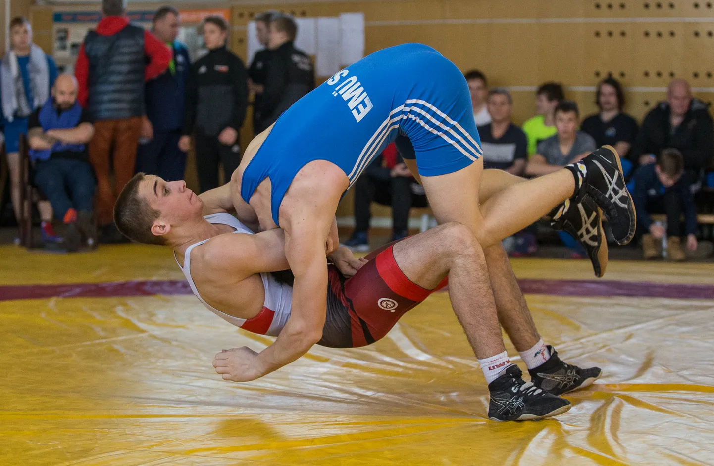 Laupäeval näeb Kohtla-Järve vana spordihoone saalis sadu maadlusmatše, mille krooniks on efektsed heited.